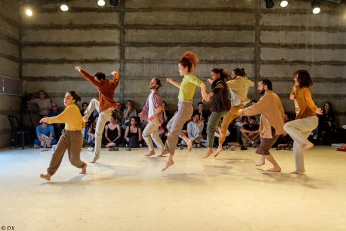 צילום: דוד קפלן