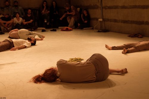 צילום: דוד קפלן