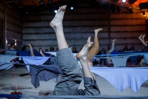 צילום: דוד קפלן