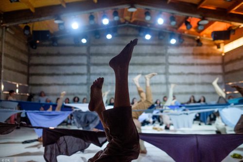 צילום: דוד קפלן